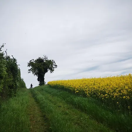 Le Petit Saugnieu *