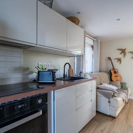 Le Petit Saugnieu Holiday home